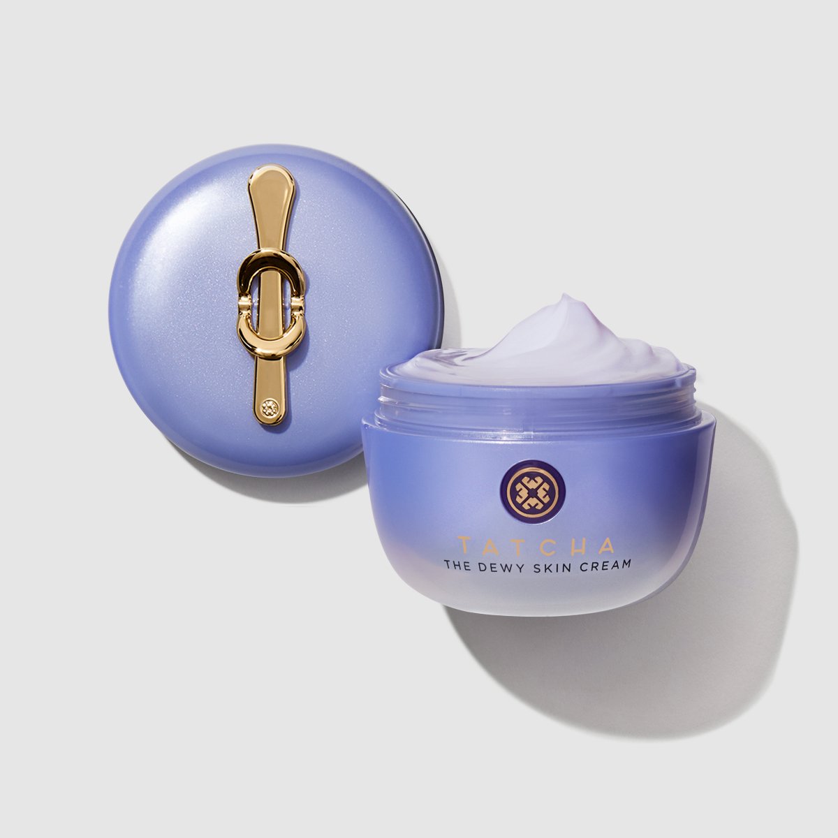 The Dewy Skin Cream Gentle Face Cream for Daily Care