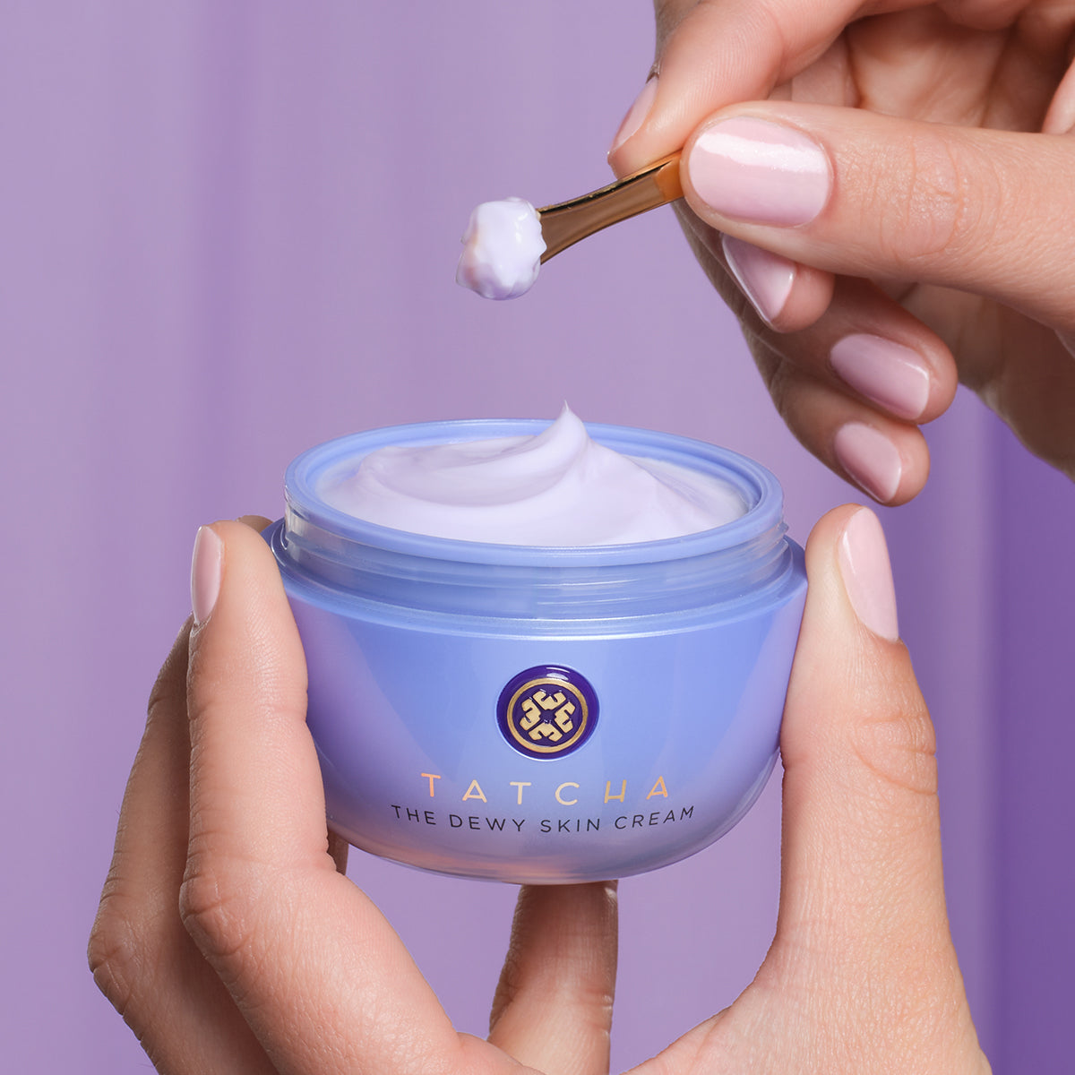 The Dewy Skin Cream Gentle Face Cream for Daily Care