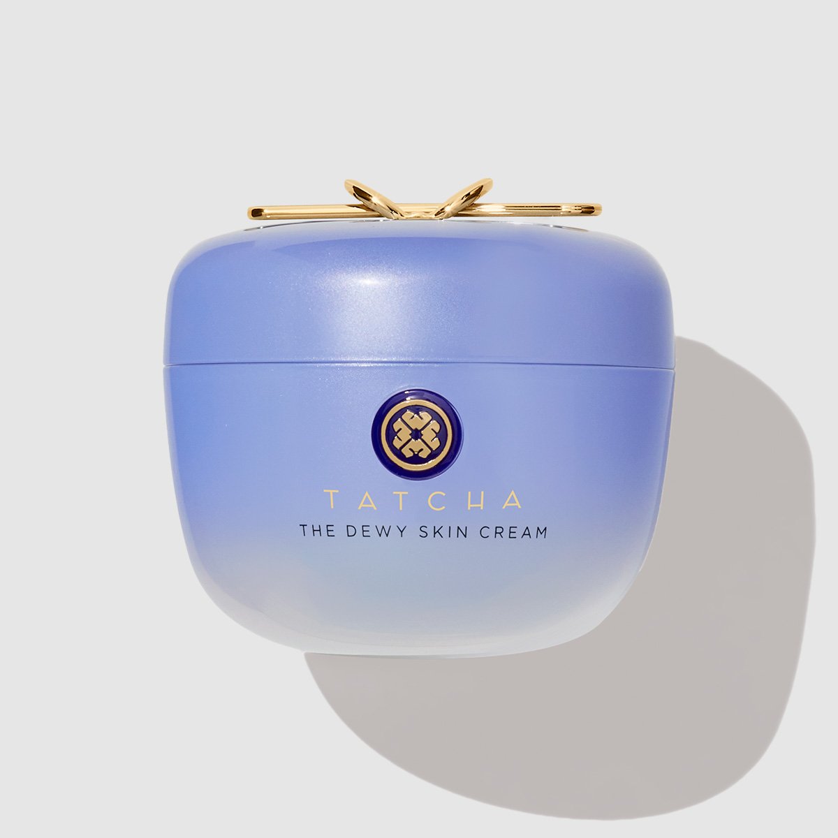 The Dewy Skin Cream Gentle Face Cream for Daily Care