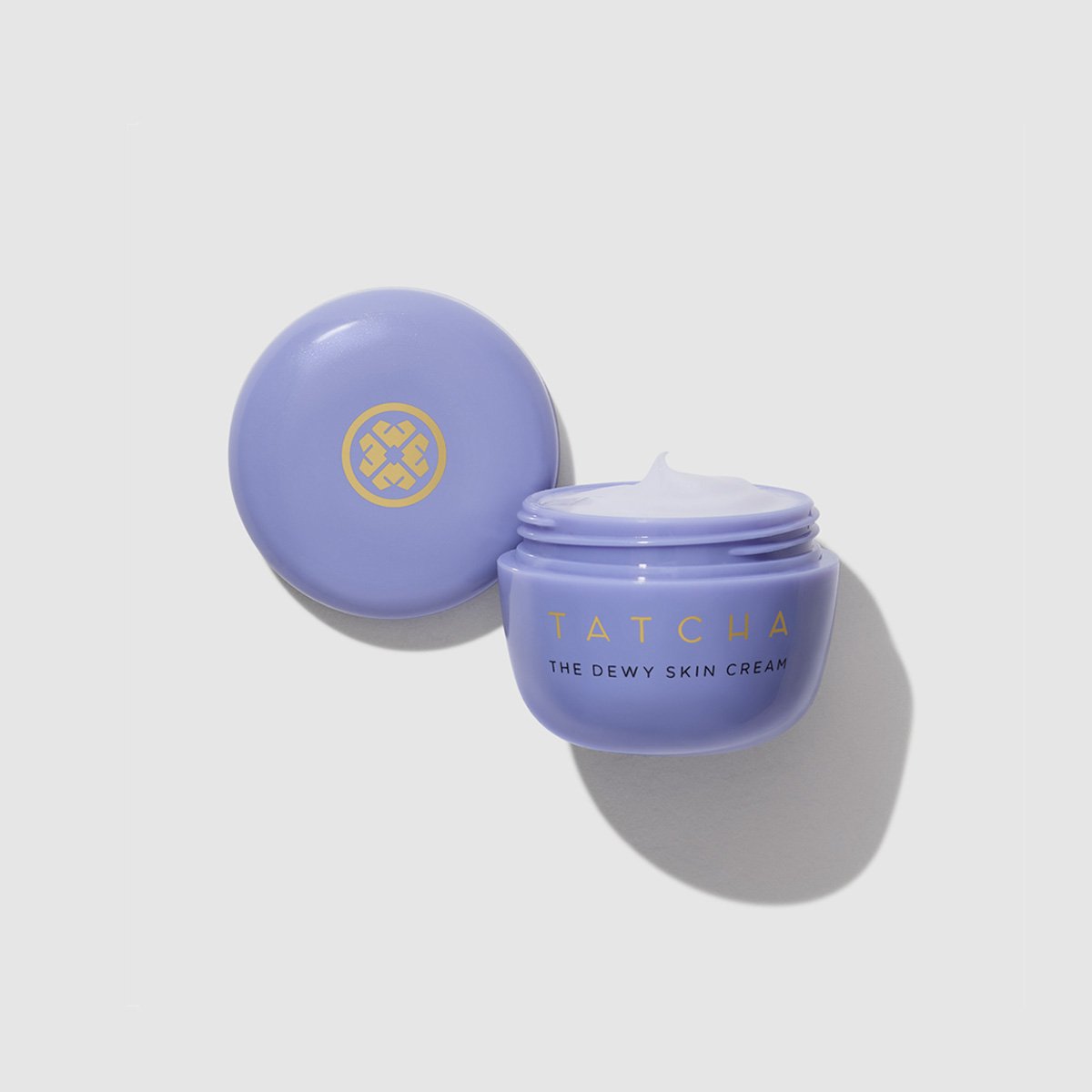The Dewy Skin Cream Gentle Face Cream for Daily Care