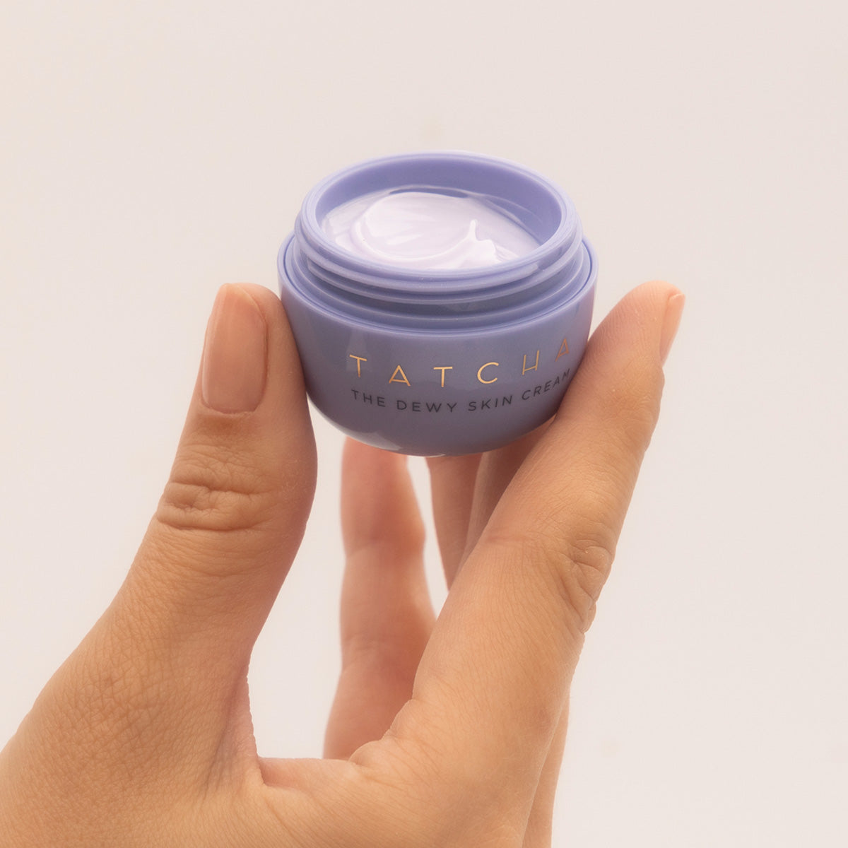 The Dewy Skin Cream Gentle Face Cream for Daily Care