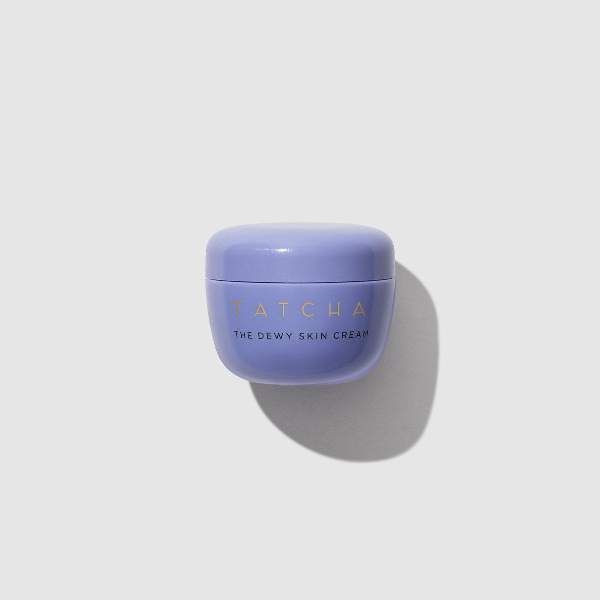 The Dewy Skin Cream Gentle Face Cream for Daily Care
