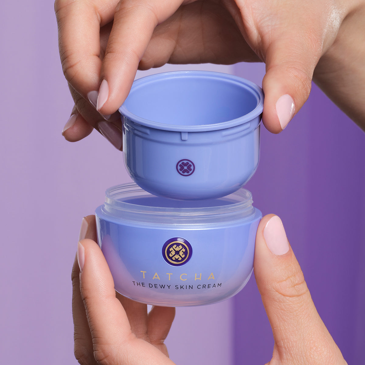 The Dewy Skin Cream Gentle Face Cream for Daily Care