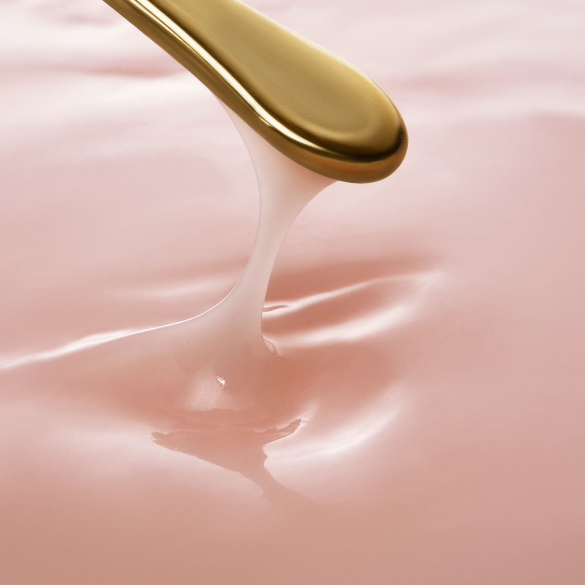 The Longevity Memory Cream Gentle Face Cream for Daily Care