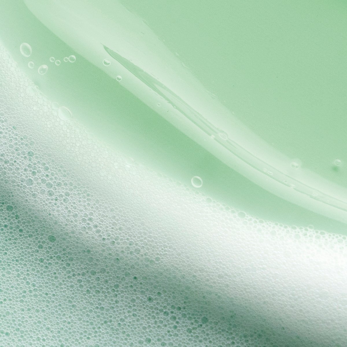 The Matcha Cleanse Gentle Facial Cleanser for Daily Care
