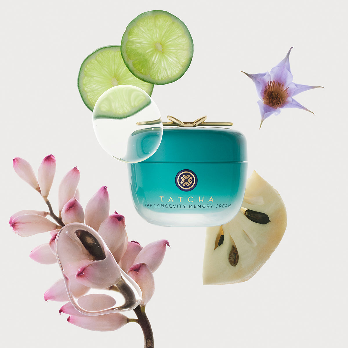 The Longevity Memory Cream Gentle Face Cream for Daily Care
